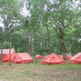 Campamento Juvenil de Espinosa de los Monteros (Burgos)