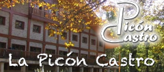 www.lapiconcastro.com